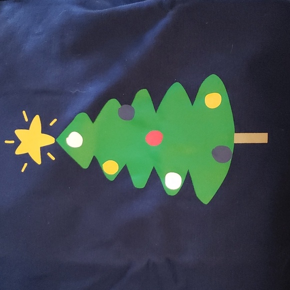 Moon and Back by Hannah Anderson Organic Cotton Christmas 2PC PJ'S Size 12 - Picture 3 of 10